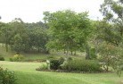 Quidongresidential-landscaping-40.jpg; ?>